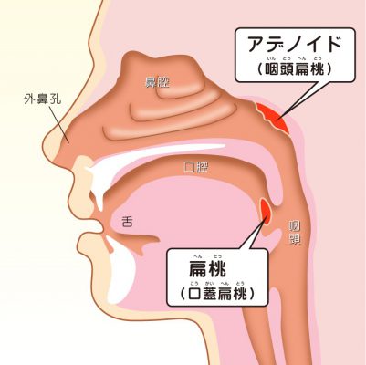 新生児 鼻息 が 荒い