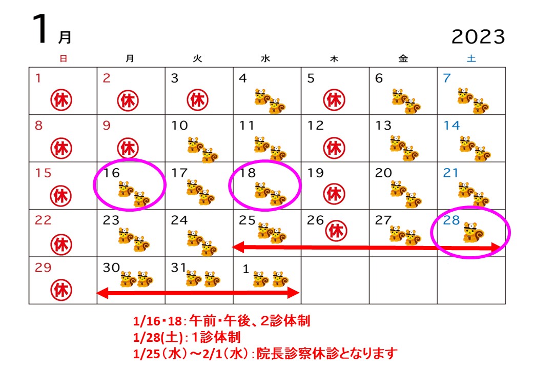 Drカレンダー1月