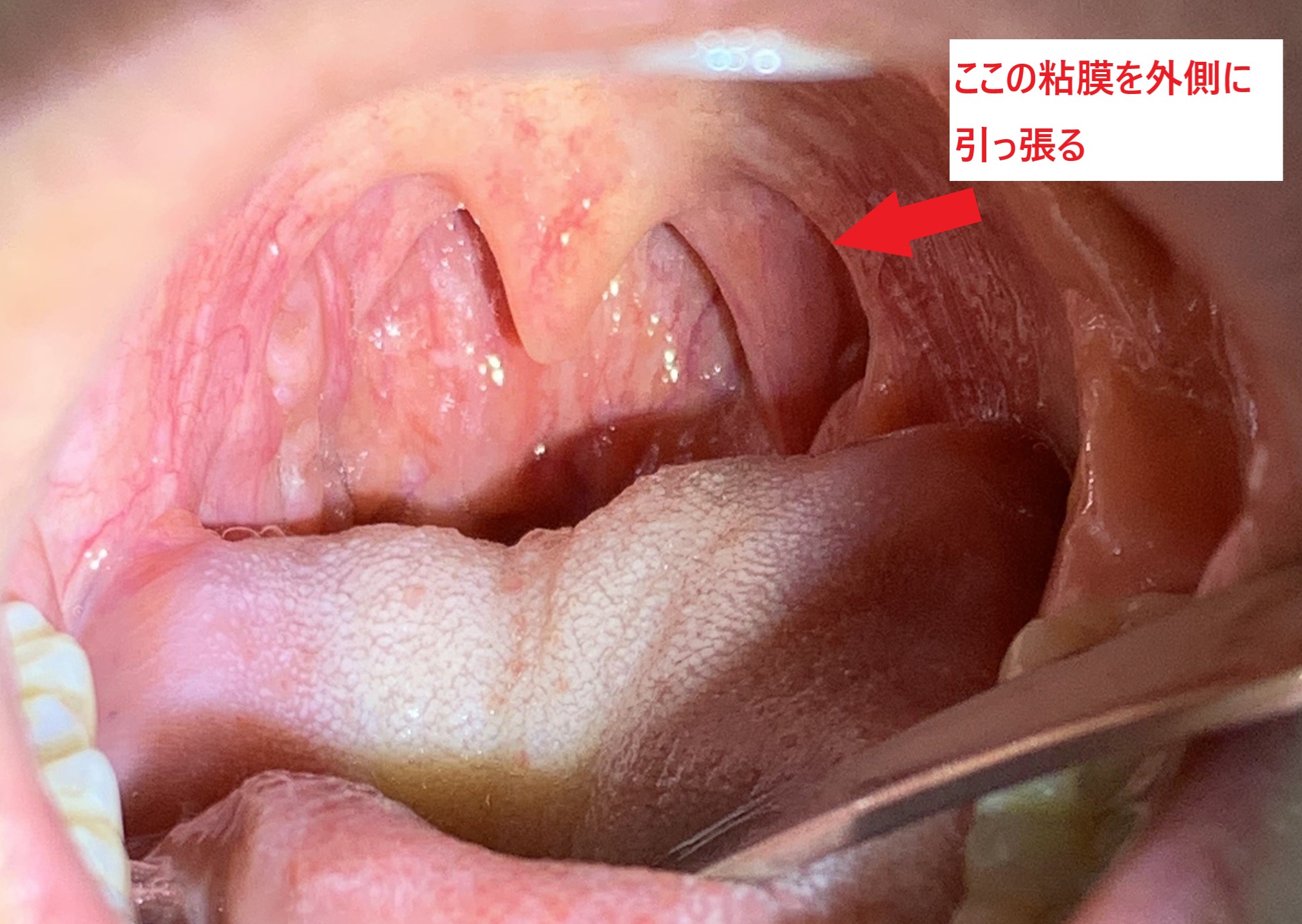 IMG_4840 - コピー - コピー - コピー