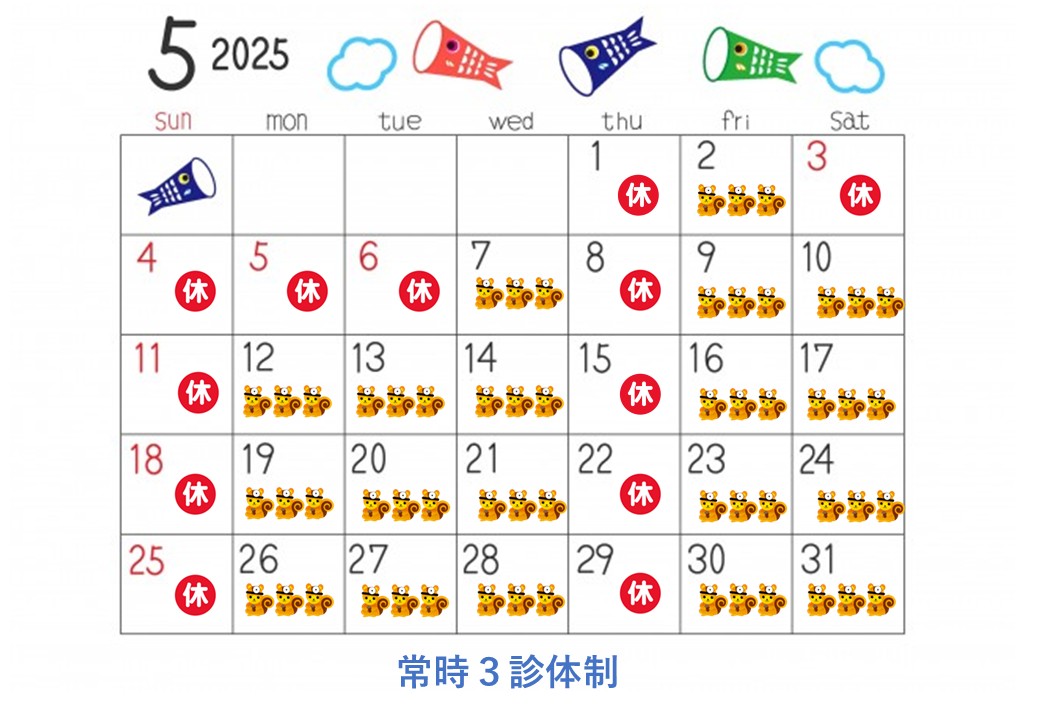 5月