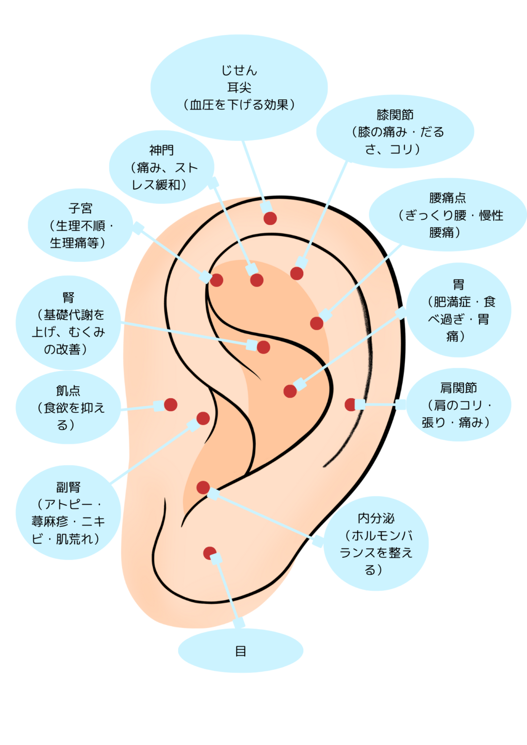 効果