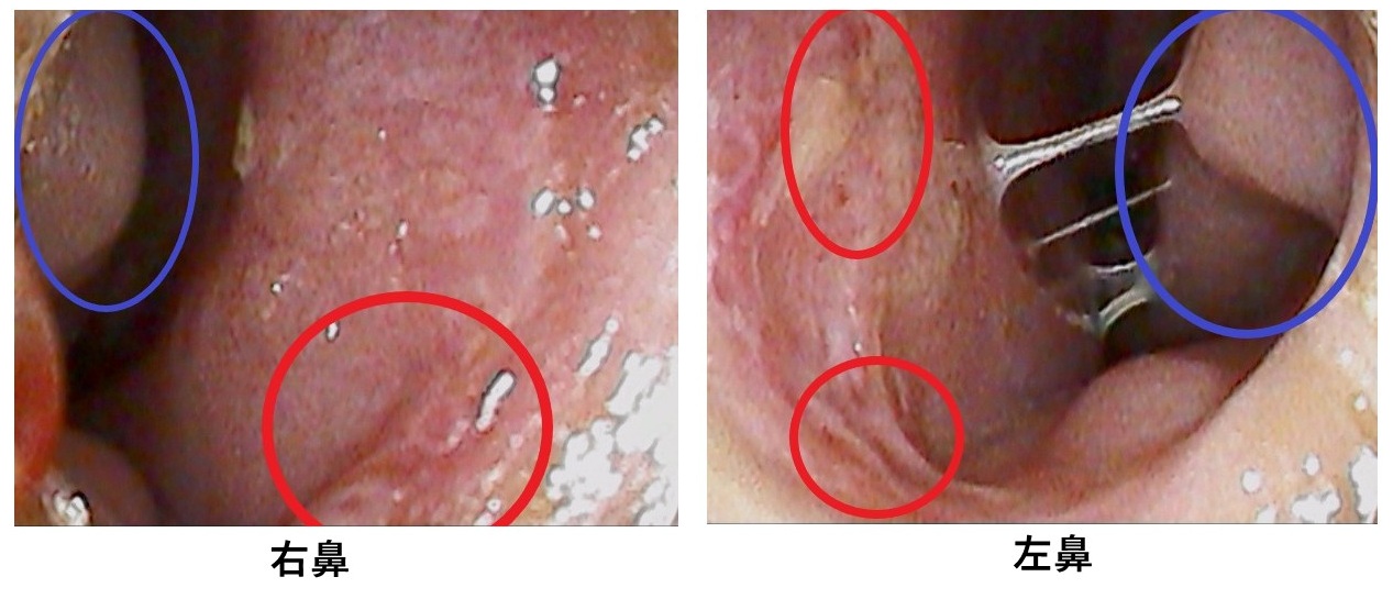 新規 Microsoft PowerPoint プレゼンテーション