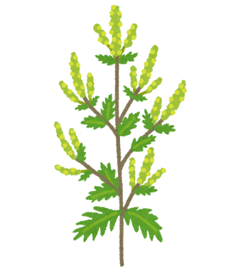 plant_butakusa