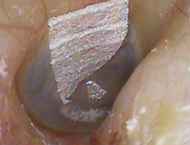 3Mテープ