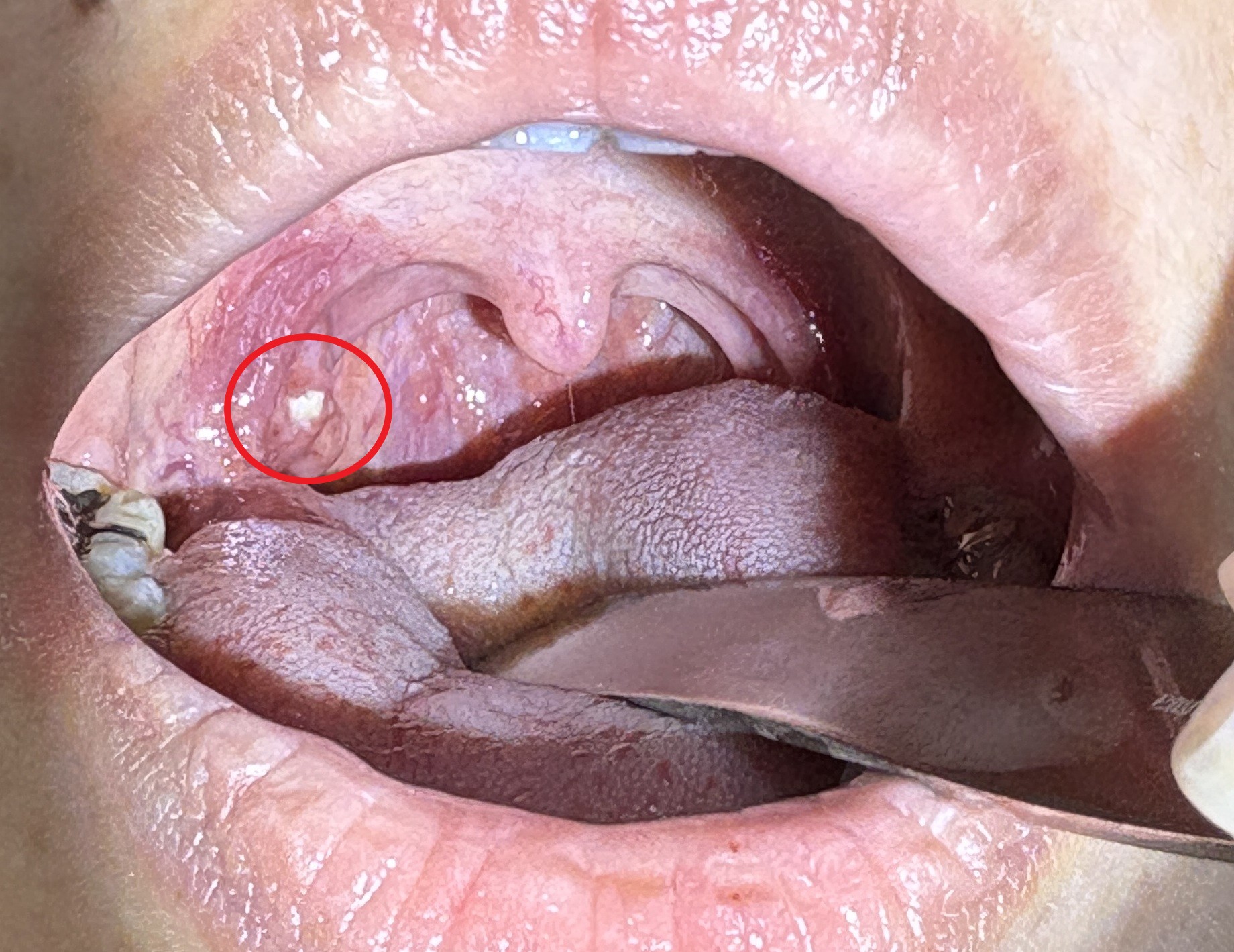 IMG_0905 - コピー - コピー