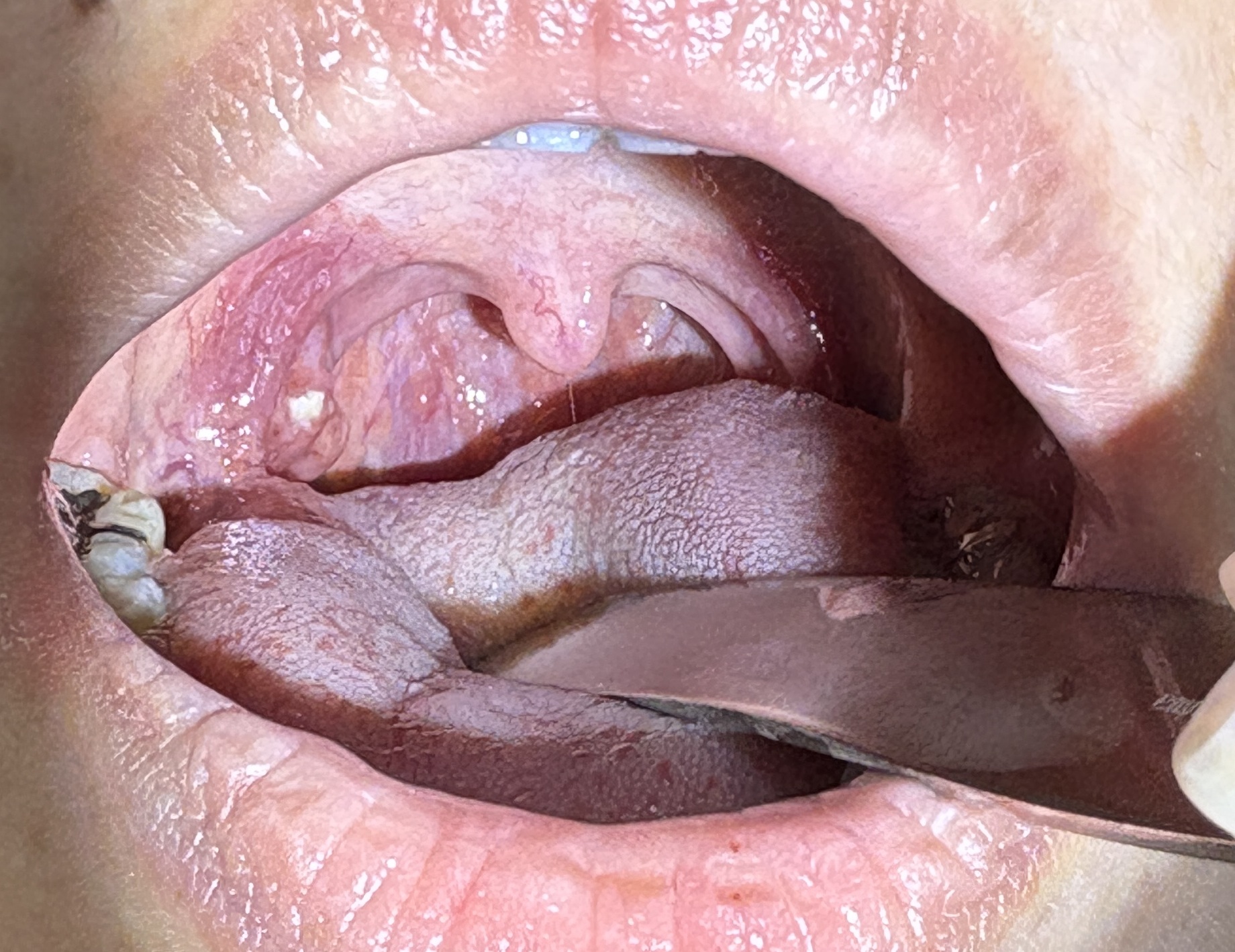 IMG_0905 - コピー