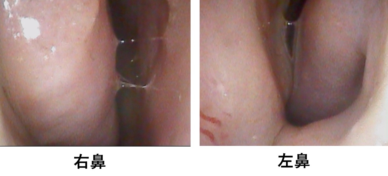 新規 Microsoft PowerPoint プレゼンテーション