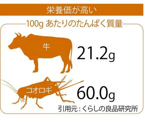 img_b3ff32ca6ed813f312a1cb38e85fefbd30200