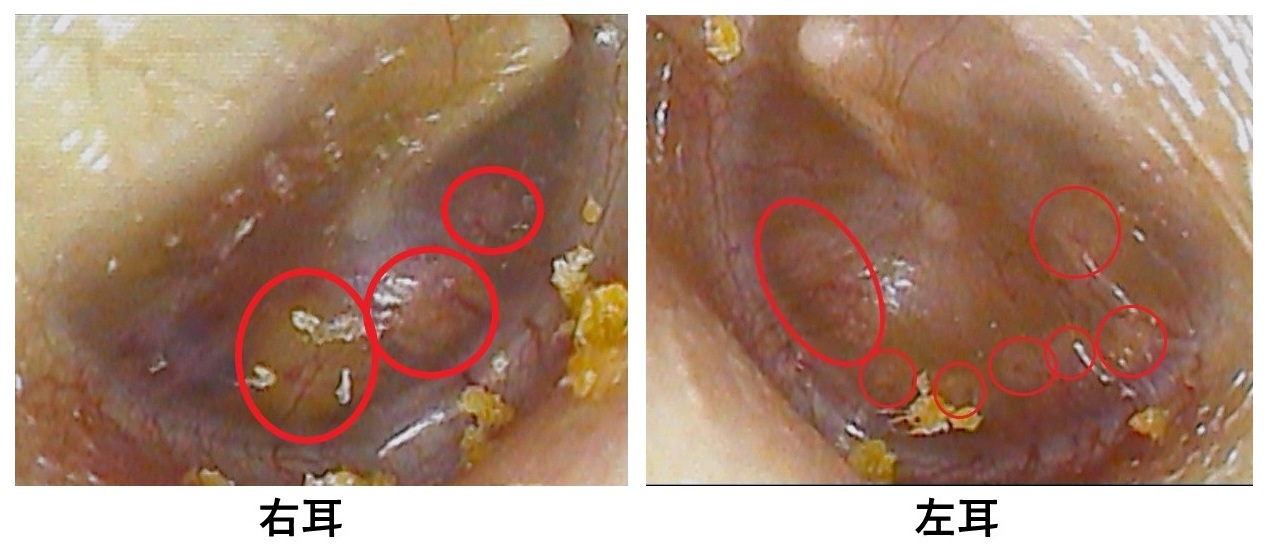 新規 Microsoft PowerPoint プレゼンテーション