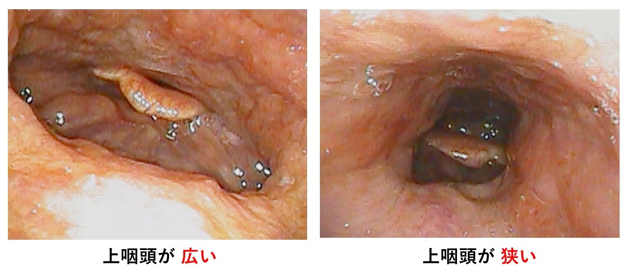 新規 Microsoft PowerPoint プレゼンテーション