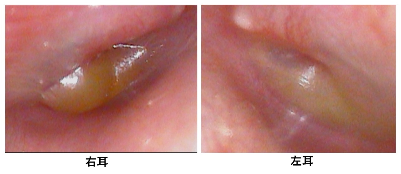 新規 Microsoft PowerPoint プレゼンテーション