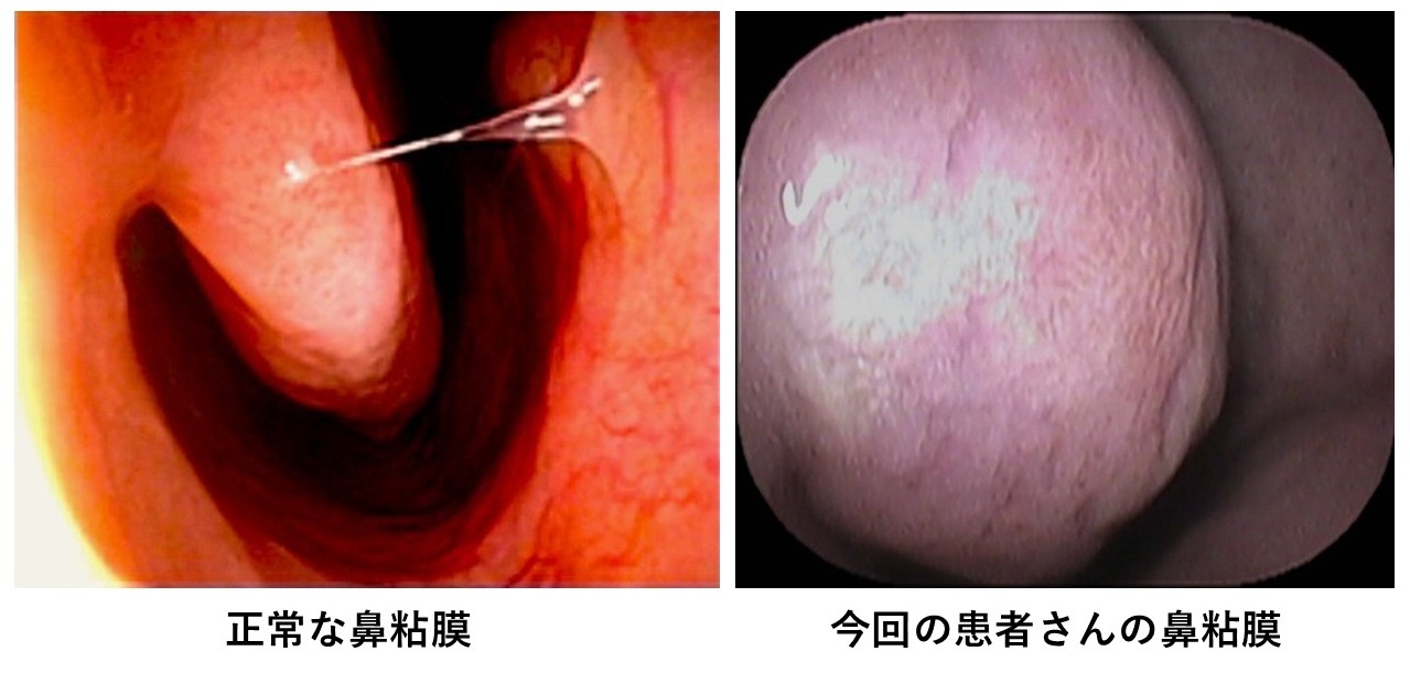 新規 Microsoft PowerPoint プレゼンテーション