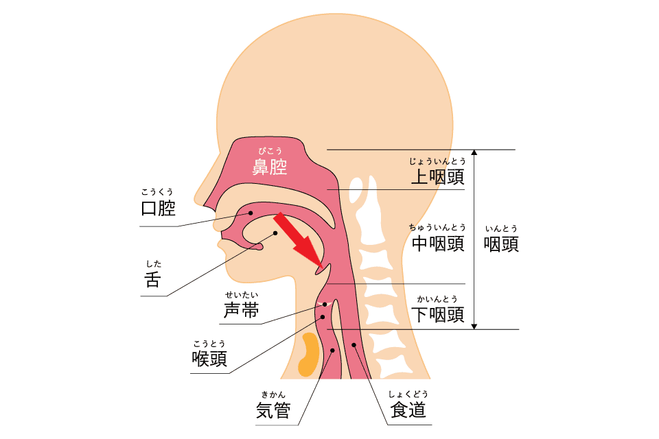 img_01 - コピー - コピー